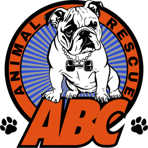 Team Page: ABC Animal Rescue – C